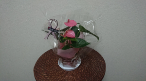 介護疲れでご来店
